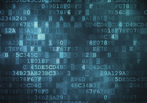 best darknet market for weed 2026