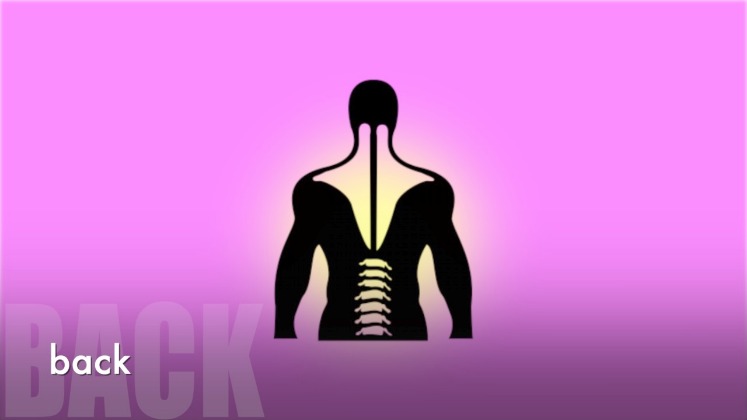 back market trustworthy