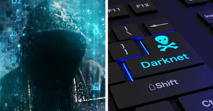 darknet market listing