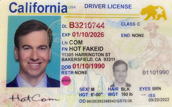 fake id dark web 2026