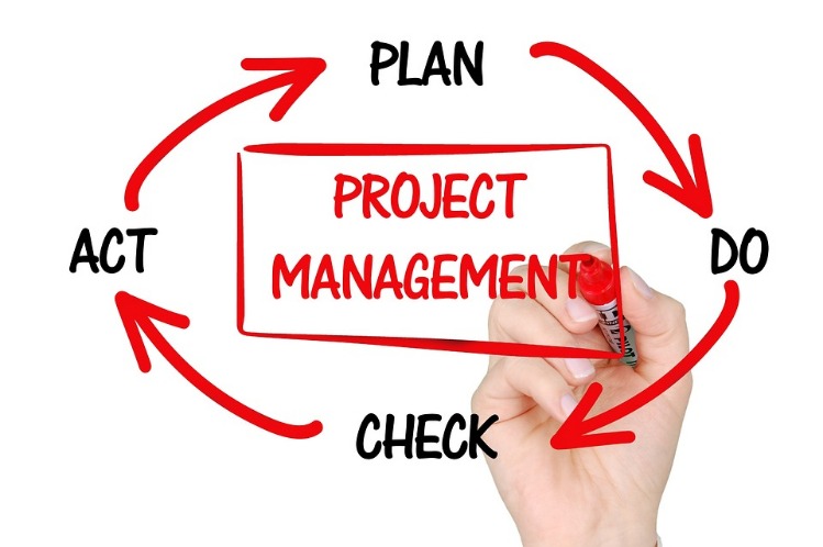 project versus