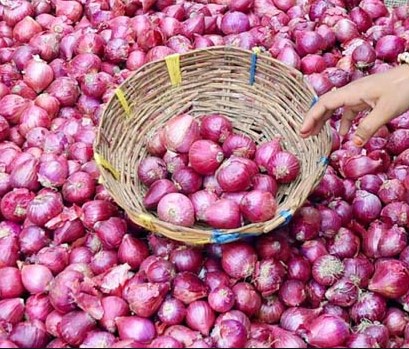 onion darknet market