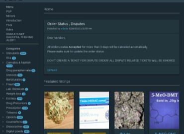 onion link search engine