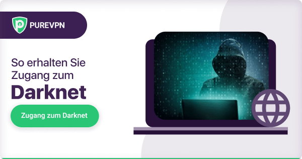 darknet market noobs step by step